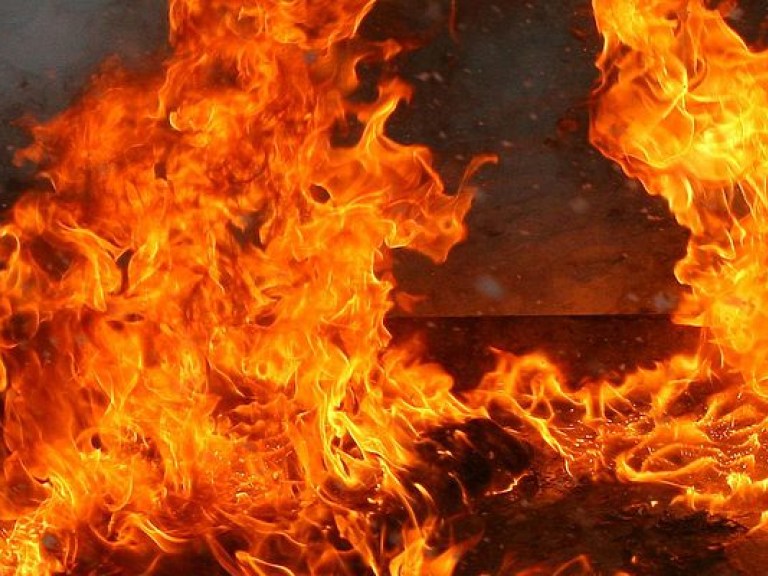 За сутки в Украине произошло 355 пожаров