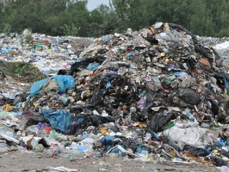 Львовский мусор обнаружили в Житомирской области (ФОТО)