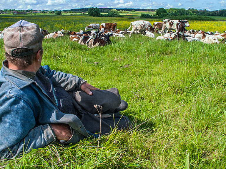 В украинском АПК наметился кадровый голод: фермеры вынуждены приглашать иностранцев – эксперт