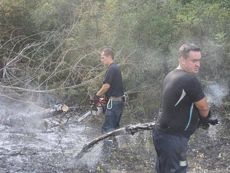В Запорожье горела плавневая зона острова Хортица (ФОТО)