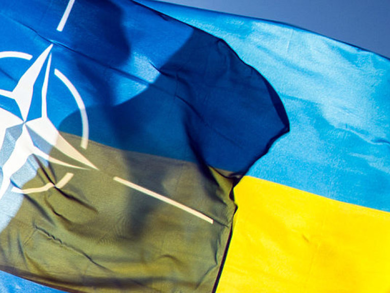 Украина и НАТО: идем туда, где нас не ждут