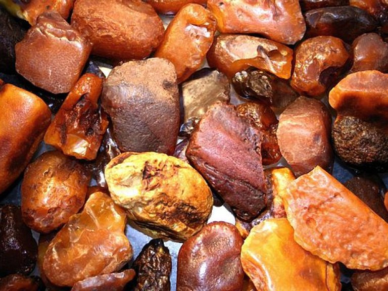 Польские таможенники изъяли 100 килограммов янтаря из Украины