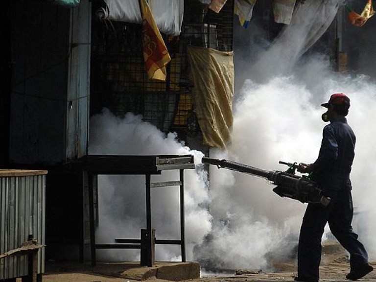 На Шри-Ланке из-за вспышки лихорадки денге погибли около 300 человек