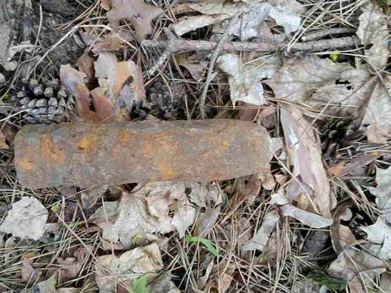 На территории столичного парка нашли два снаряда времен Второй мировой войны