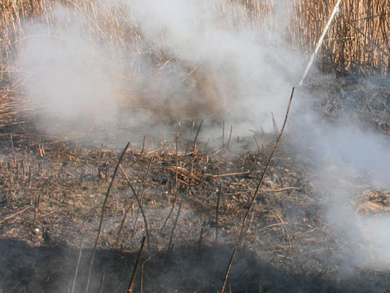 На Киевщине участились случаи возгорания сухой травы и торфа