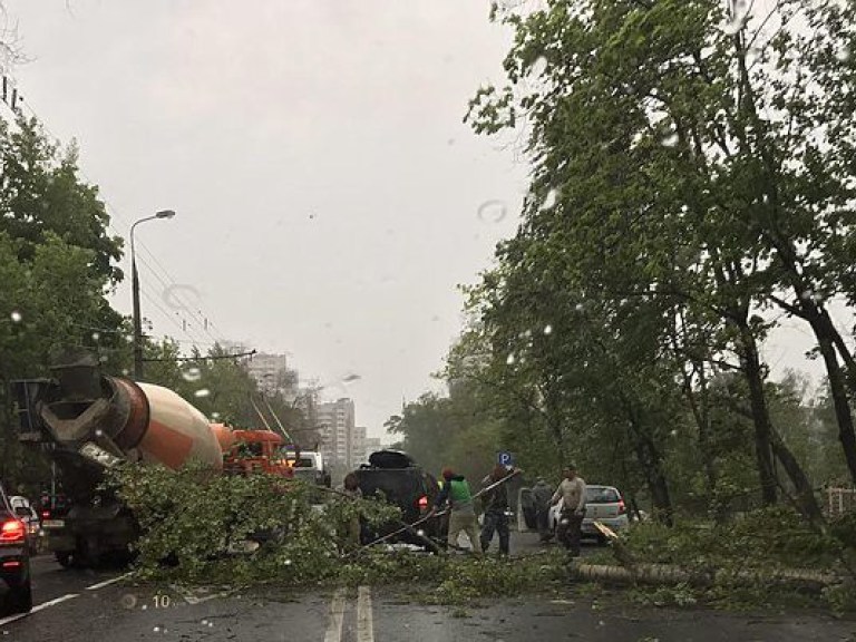 В Польше в результате ураганов свалены деревья и подтоплены дома (ФОТО)