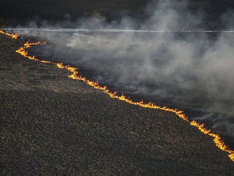 На Корсике и Французской Ривьере бушуют лесные пожары (ФОТО)