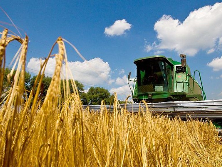 Отсутствие поддержки фермеров в Украине приводит к сокращению площадей посевов зерновых – эксперт