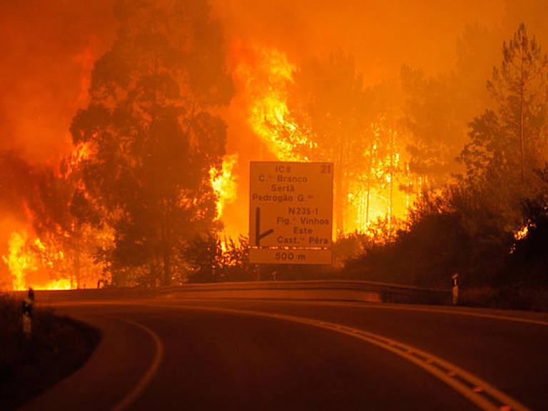 В Португалии вторые сутки не могут справиться с масштабными лесными пожарами