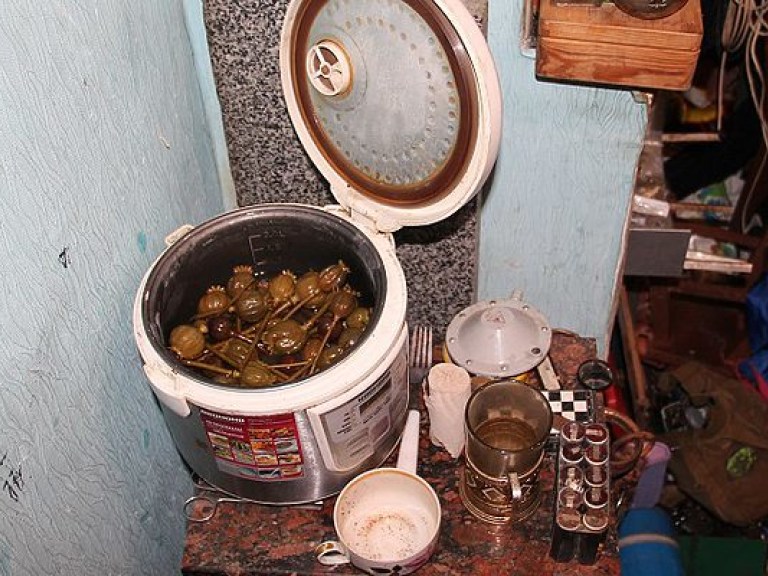 Полиция  Житомира нашла у подозреваемого склад боеприпасов и наркотики (ФОТО)