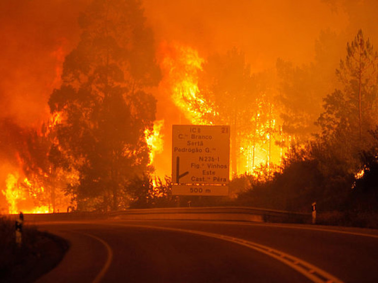 Лесные пожары в Европе: поджоги, жертвы и тысячи эвакуированных (ФОТО)