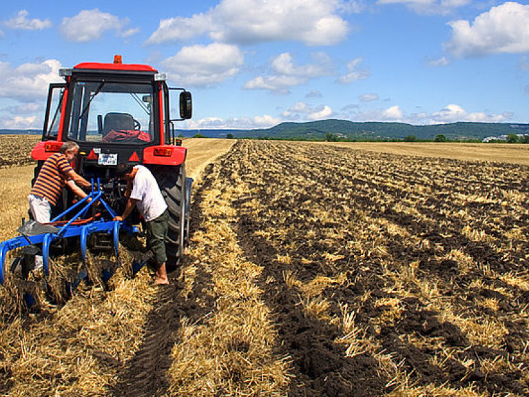 Тюремные земли в Украине Минюст планирует отдать в аренду аграриям