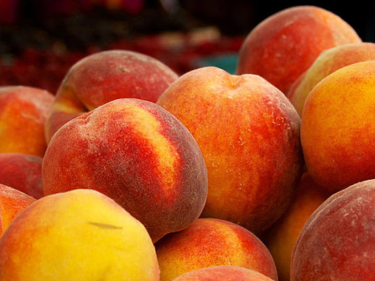 Эксперт: персики, абрикосы и томаты помогут получить красивый ровный оттенок загара