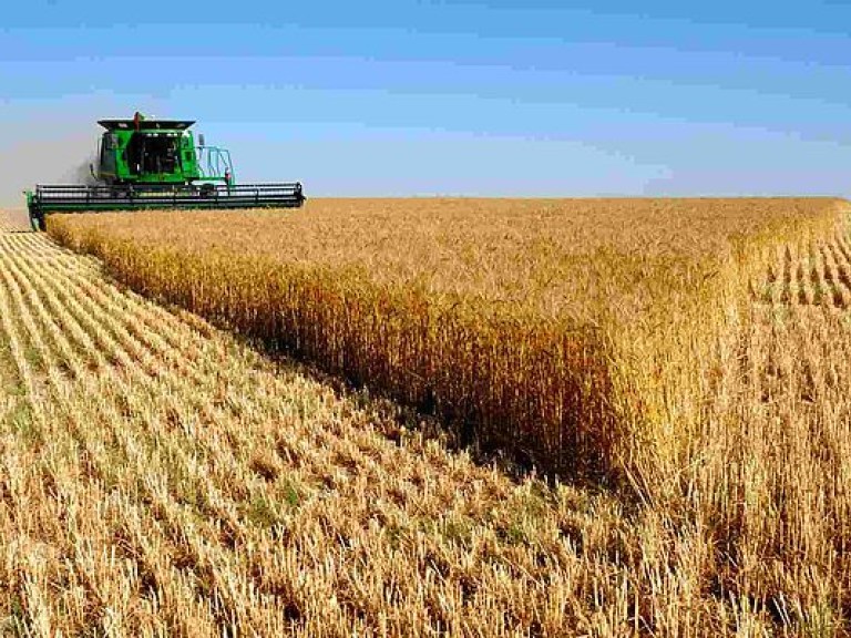 Урожай ранних зерновых уже собран на 70%