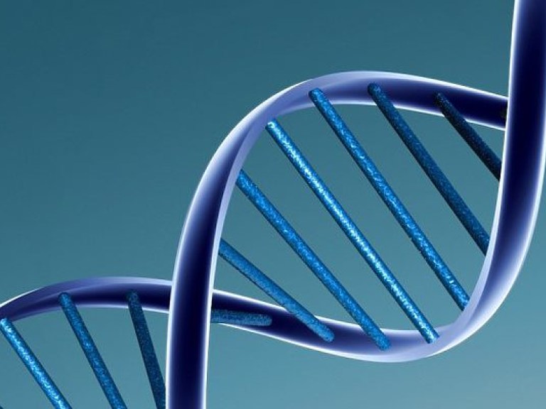 Ученые нашли способ влиять на болезнь посредством количества хромосом