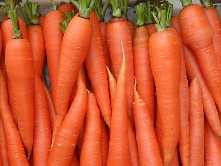 В Румынии морковь стоит дешевле, чем в Украине