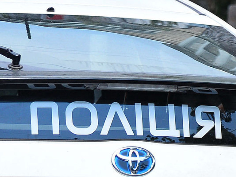 Четырехлетняя девочка погибла от рук матери в Черниговской области &#8212; полиция