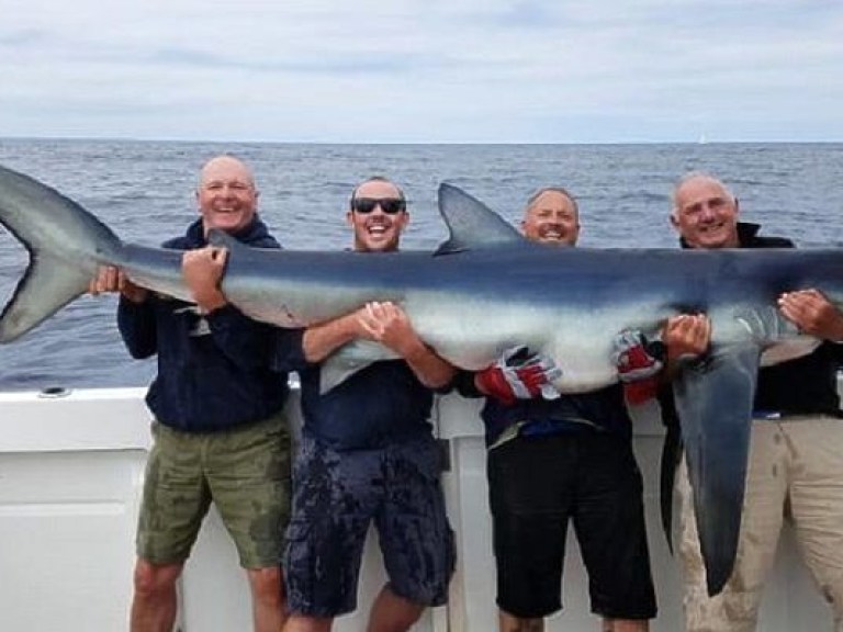 В Великобритании поймали рекордно большую голубую акулу  (ФОТО)