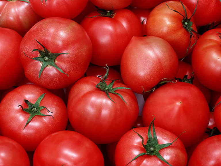 На оптовых рынках в два раза снизилась стоимость помидоров
