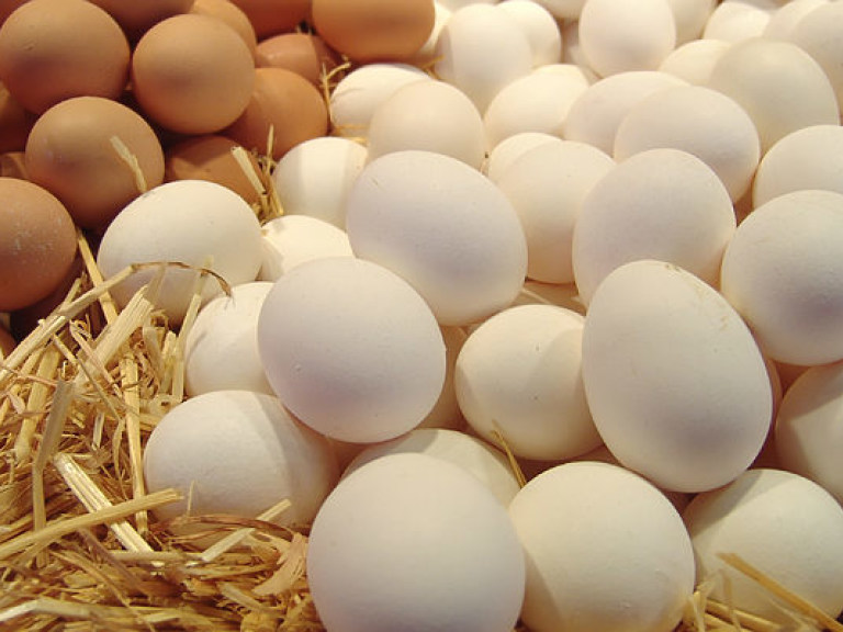 В Европе из магазинов отозвали миллионы яиц из-за выявления токсичного вещества