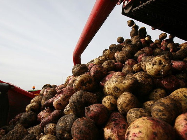 Мексика запретила импорт картофеля из США