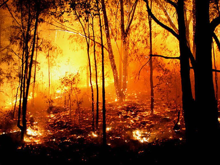 Синоптики предупреждают о чрезвычайной пожарной опасности в Украине в ближайшие дни
