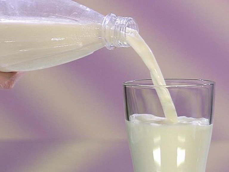 Цены на молоко растут из-за снижения поголовья – эксперт