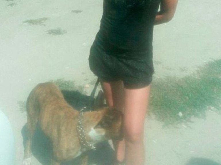 Бойцовский пес покусал мужчину на местном пляже в Запорожье (ФОТО)