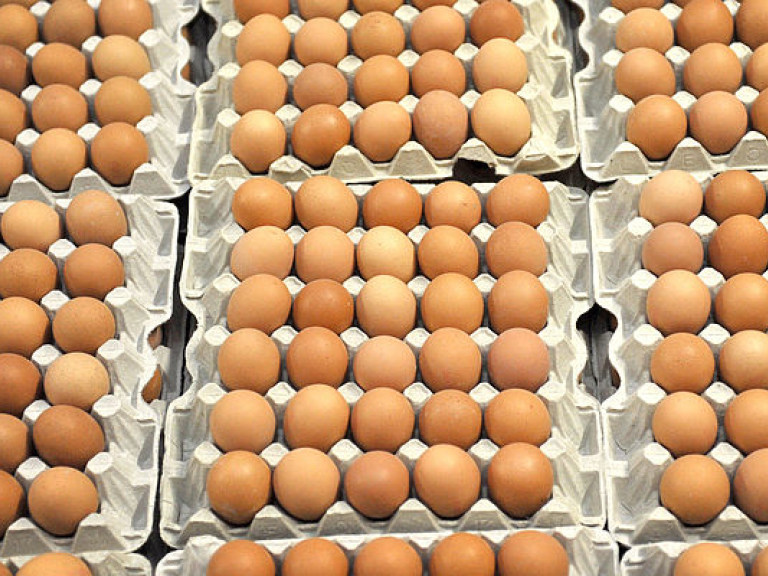 Отравленные фипронилом яйца обнаружили еще в двух странах ЕС
