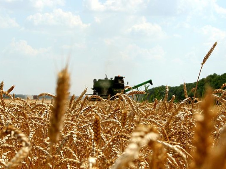 Аграрии 5 областей Украины завершили уборку ранних зерновых культур