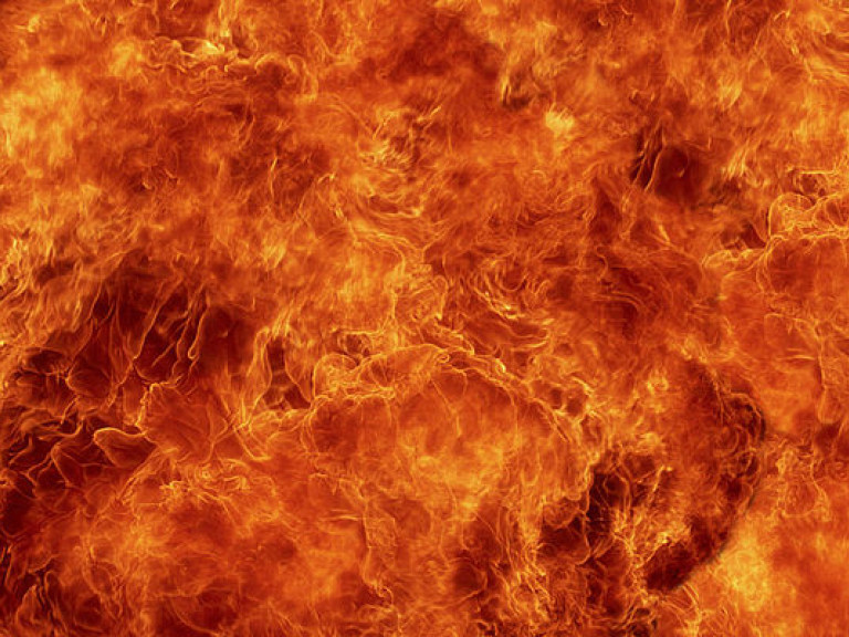 За сутки в Украине произошло 555 пожаров