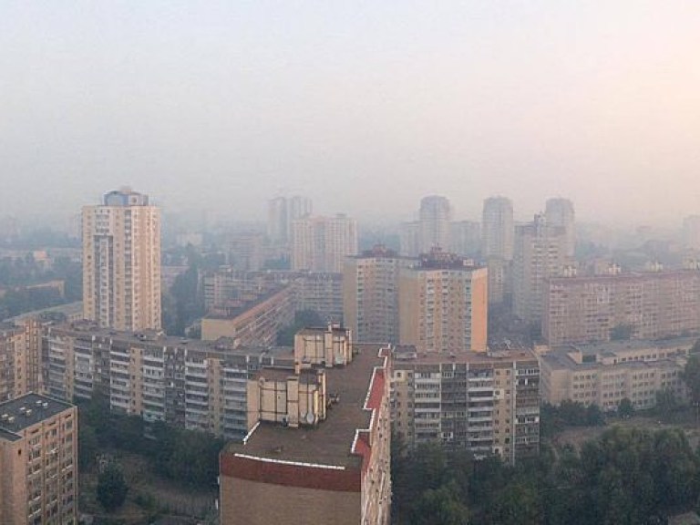 Киевские власти превращают столицу в безжизненное пространство – эколог