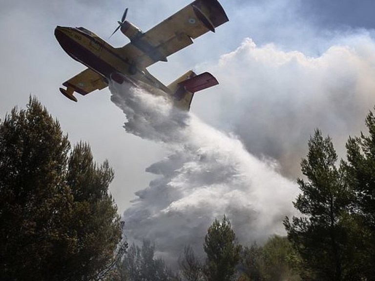 В Португалии бушуют лесные пожары: 45 человек получили ожоги, более сотни людей эвакуированы