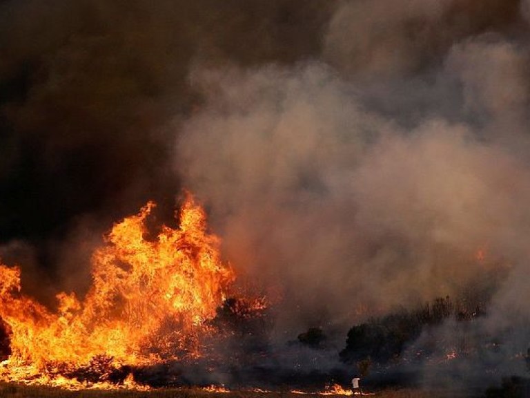 В южных лесах Европы начались масштабные пожары (ФОТО, ВИДЕО)