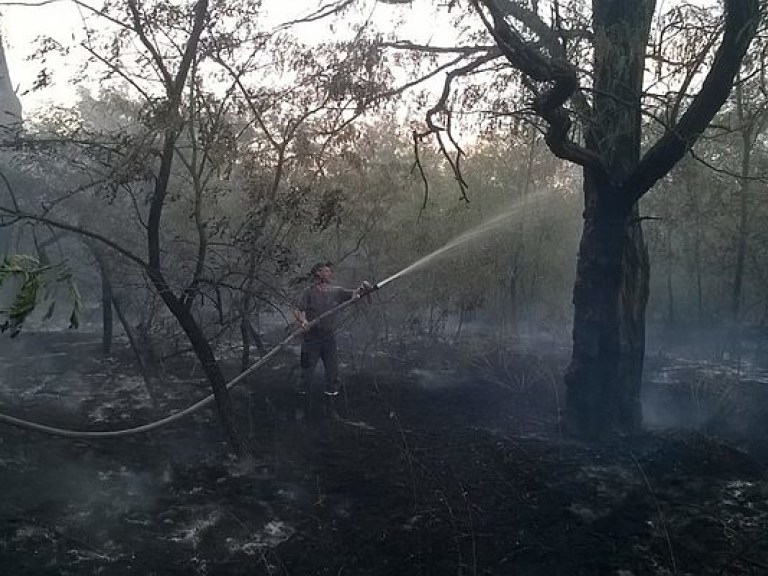 В Херсонской области тушат лесной пожар площадью 10 гектаров (ФОТО)