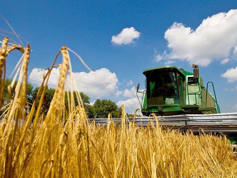 Развитие сельхозпроизводства   в Украине «тормозят»  дорогие кредиты и  рейдерство – эксперт
