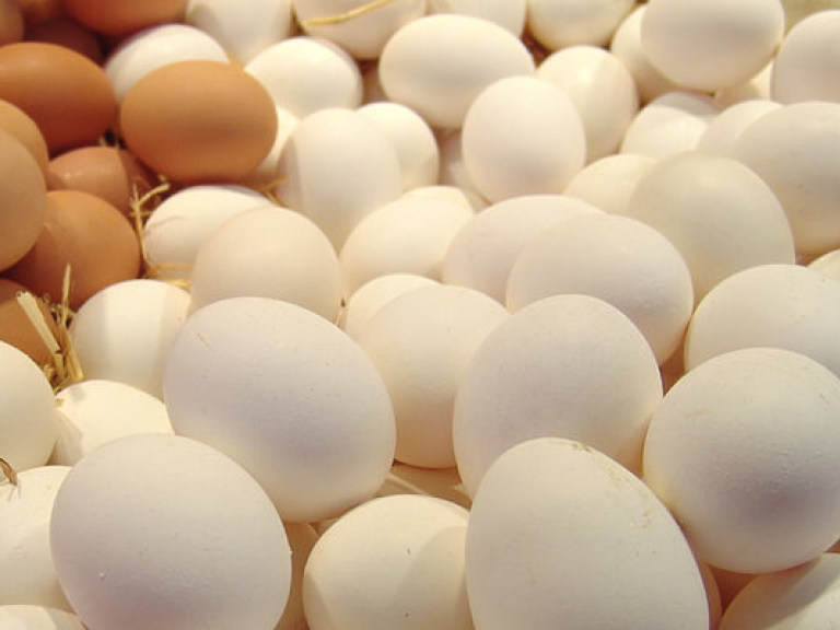 Яичный скандал: Украина не сможет занять место экспортера безопасных яиц в ЕС