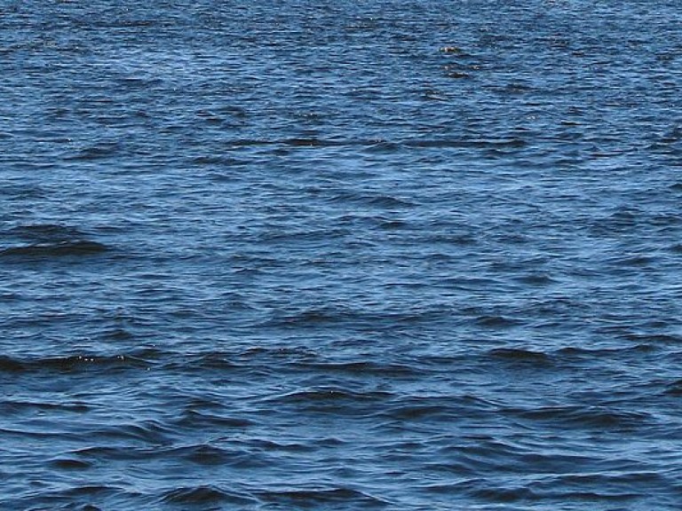Киевляне показали загрязненный берег Днепра  (ФОТО)