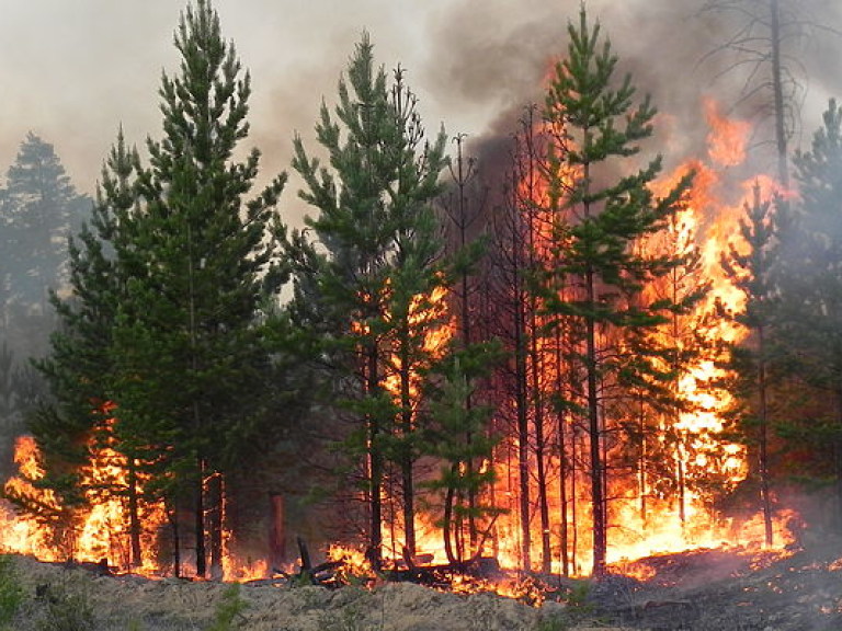 В 11 областях Украины продолжается чрезвычайная пожароопасность