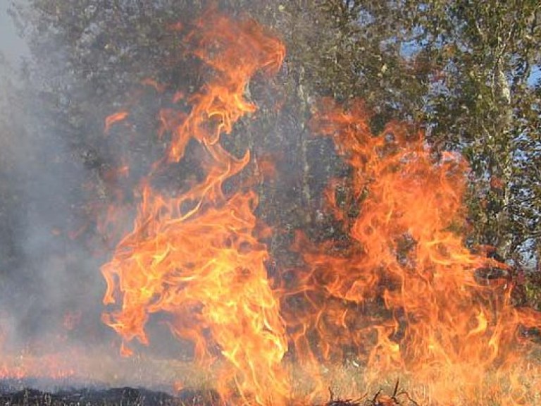В ГСЧС предупредили о пожарной опасности в Украине