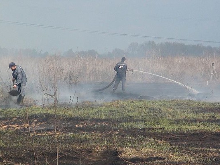 В Полтавской области четвертые сутки горят торфяники
