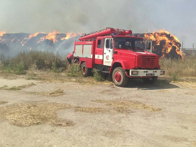 В Харьковской области загорелись поле и лес (ФОТО)