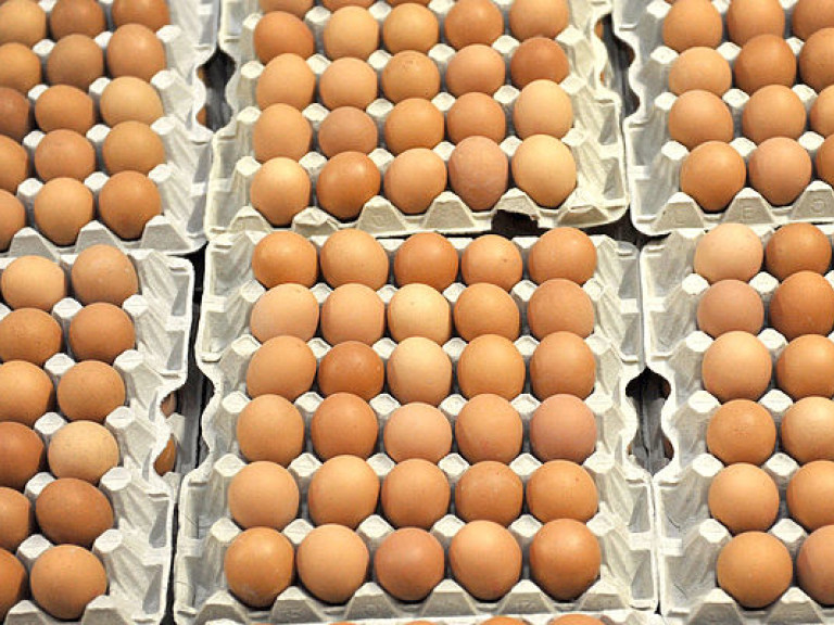 Госпродпотребслужба опровергла наличие в Украине яиц с фипронилом