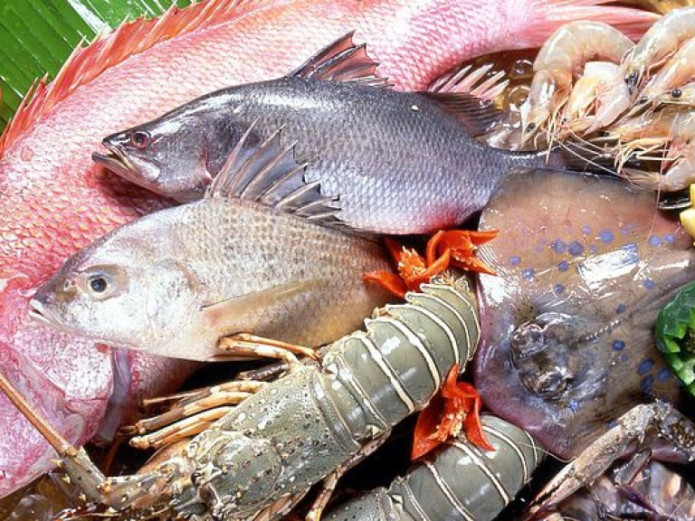 В Украине теневой рынок вылова рыбы составляет около 3-4 миллиардов гривен – эксперт
