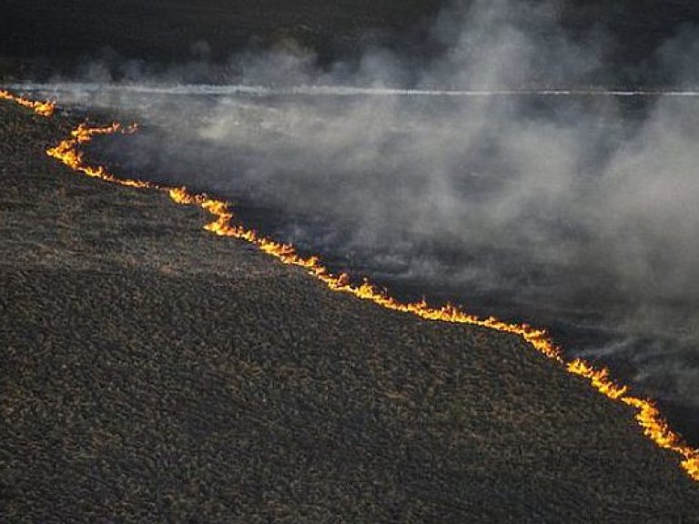 В России увеличились площади лесных пожаров, в некоторых регионах ввели режим ЧС (ФОТО)