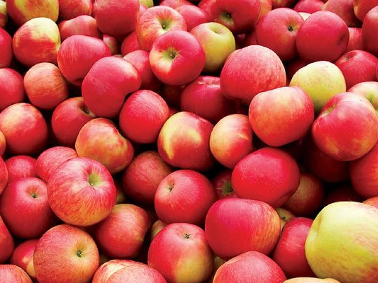 В связи со Спасом цены на яблоки и груши на рынках повысились