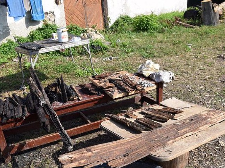 В Житомирской области нашли уникальный древлянский колодец, выкопанный тысячу лет назад (ФОТО)