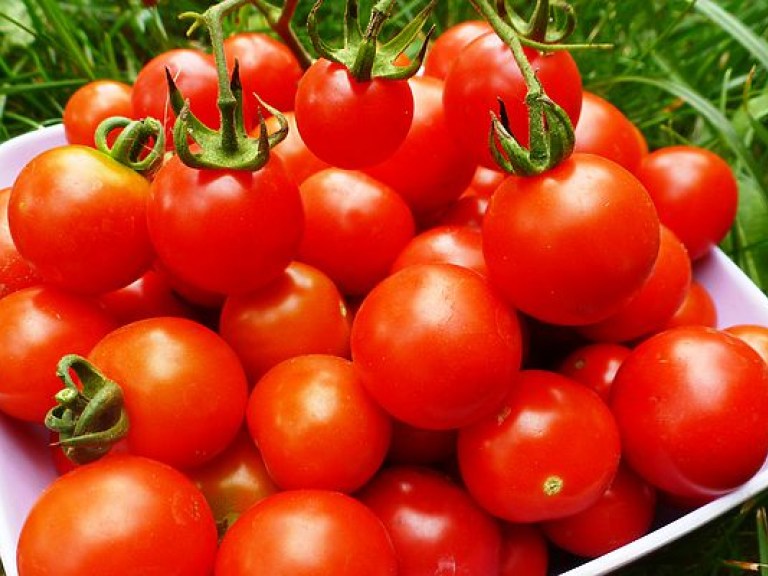 Свежие помидоры укрепляют кости и улучшают работу сердца