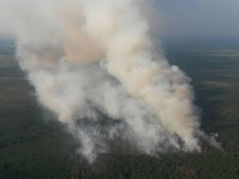 В Украине горит 340 гектаров леса (ФОТО)