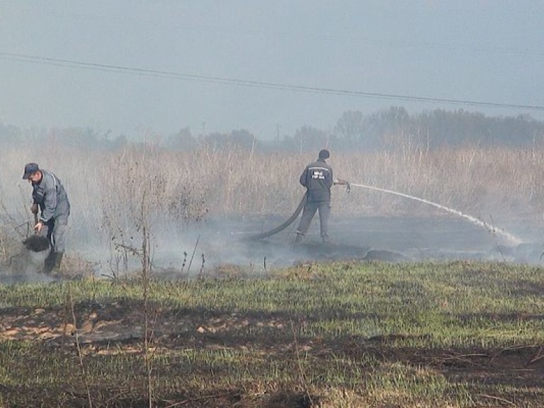 В Украине вдвое выросло количество пожаров в лесных массивах на торфяниках &#8212; ГСЧС